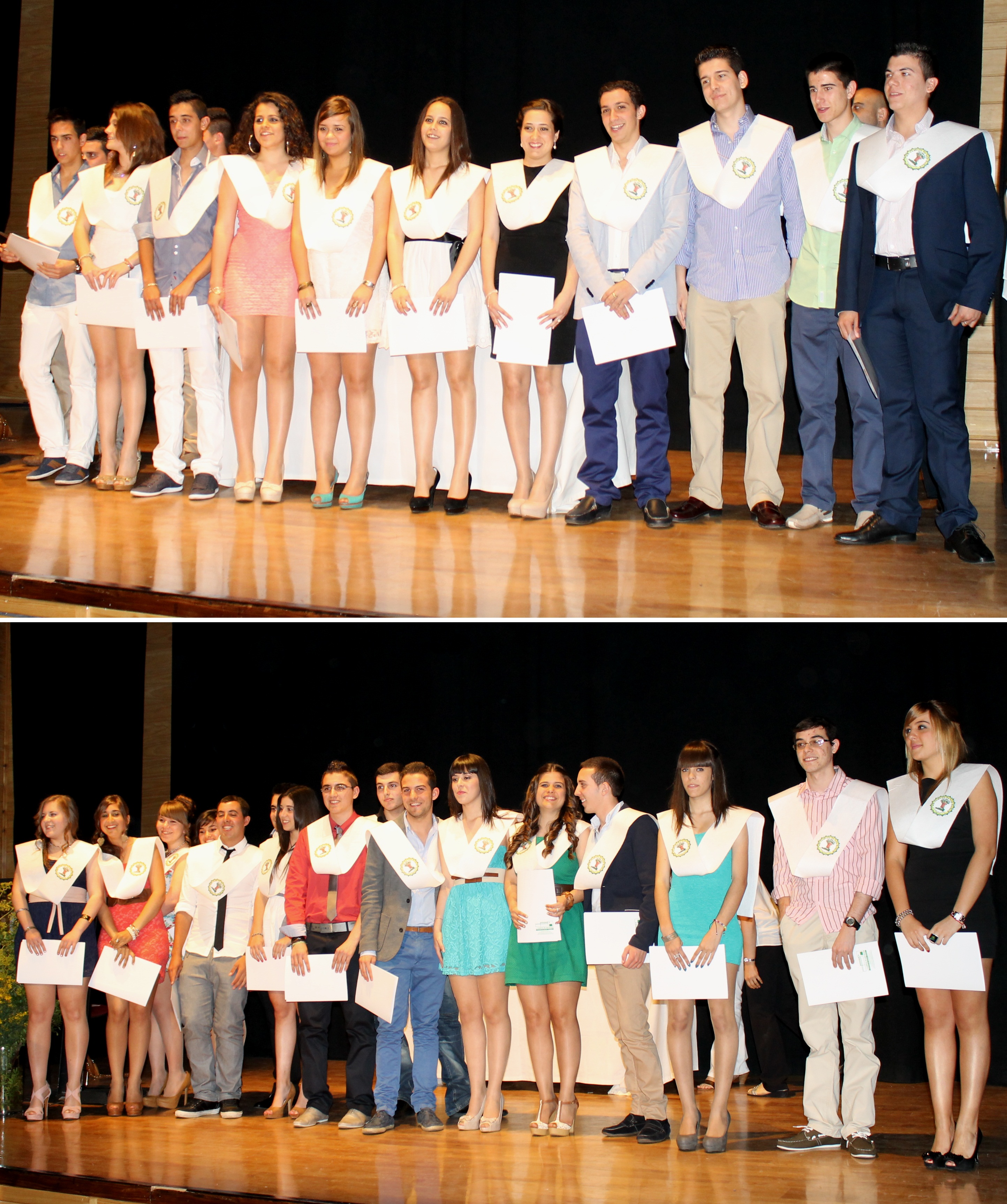Se graduan 29 alumnos de Bachillerato del IES "Campos de San Roque"